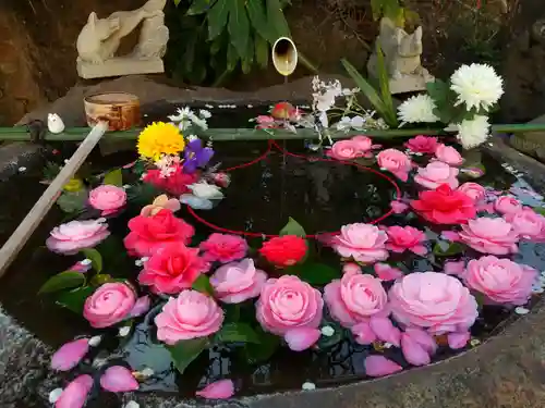 東京羽田 穴守稲荷神社の手水