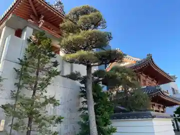 円徳寺(徳島県)