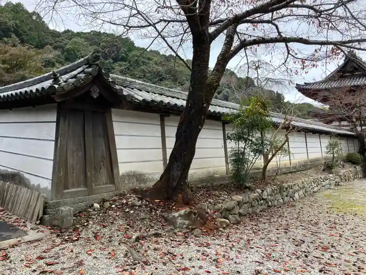 金剛寺(大阪府)