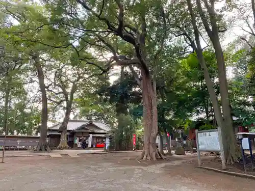 氷川女體神社のその他建物