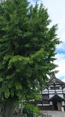 妙覺寺（妙覚寺）(京都府)