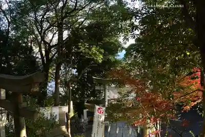 多摩川浅間神社(東京都)
