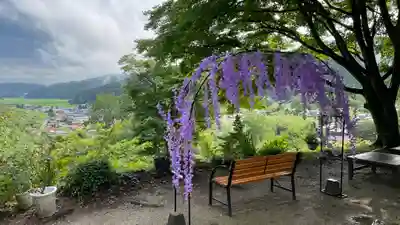 正一位 若草稲荷神社の自然