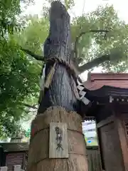 堀越神社の自然