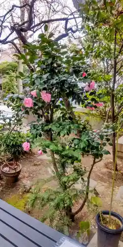 千住本氷川神社(東京都)