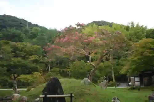 高台寺（高台寿聖禅寺・高臺寺）(京都府)