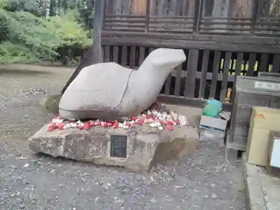 亀岡八幡宮の狛犬
