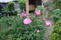 松室院(奈良県)