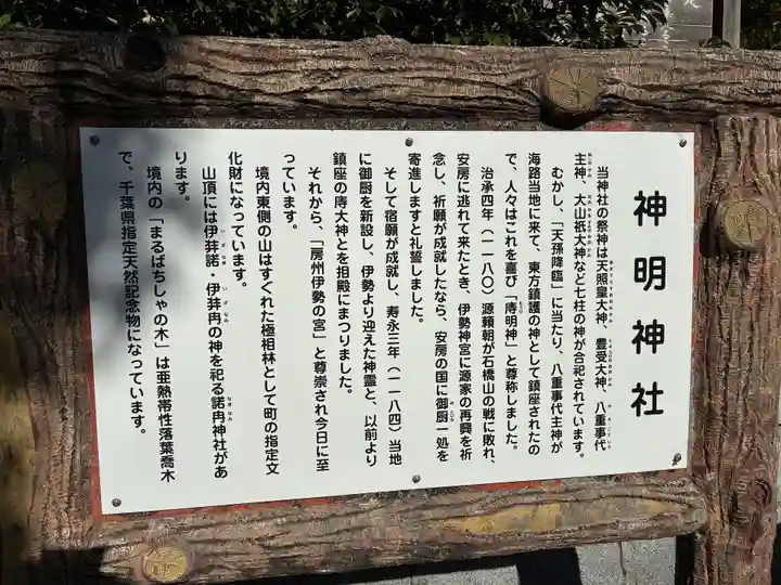 天津神明宮(千葉県)