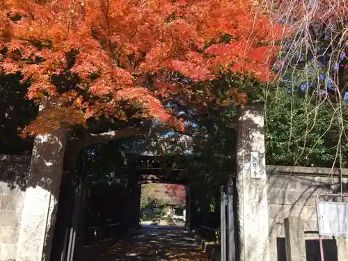 無量寺の山門