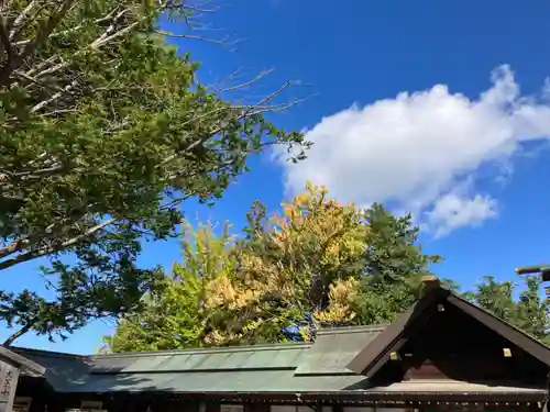 北海道神宮の自然