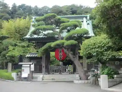 長谷寺(神奈川県)