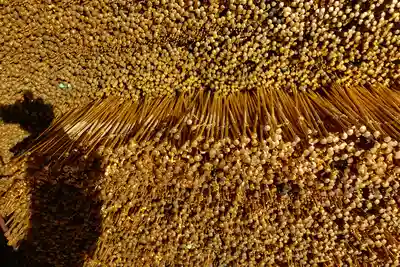 清荒神清澄寺の授与品その他