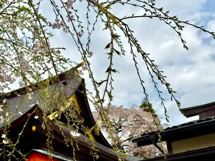 榴岡天満宮の{uncategorized: "未分類", other: "その他", undefined: "問題あり", building: "その他建物", grave: "お墓", sacred_gate: "鳥居", guardian: "狛犬", statue: "像", buddha: "仏像", history: "歴史", nature: "自然", garden: "庭園", animal: "動物", pagoda: "塔", temizu: "手水舎", mountain_gate: "山門・神門", sanctuary: "本殿・本堂", subordinate: "末社・摂社", art: "芸術", scenery: "景色", jizo: "地蔵", ema: "絵馬", goshuin: "御朱印", omikuji: "おみくじ", items: "授与品その他", amulet: "お守り", goshuincho: "御朱印帳", eats: "食事", festival: "お祭り", votive_dance: "神楽", shichigosan: "七五三参", wedding: "結婚式", experience: "体験その他", initially: "初詣", around: "周辺", anti_infection: "感染症対策"}