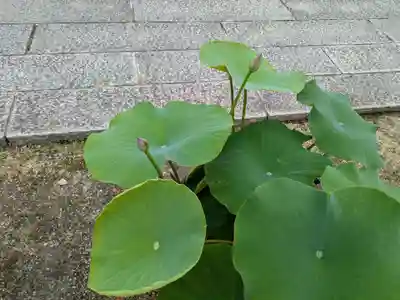 本山専修寺(三重県)