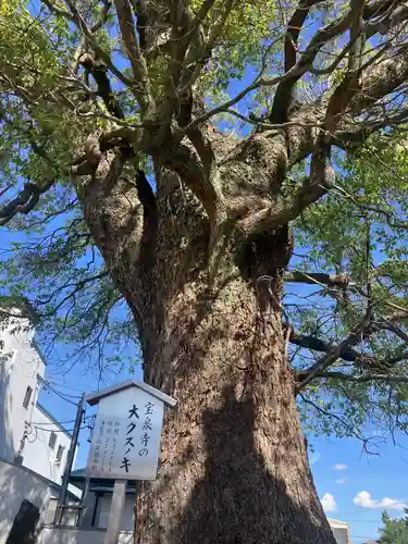 宝泉寺の自然