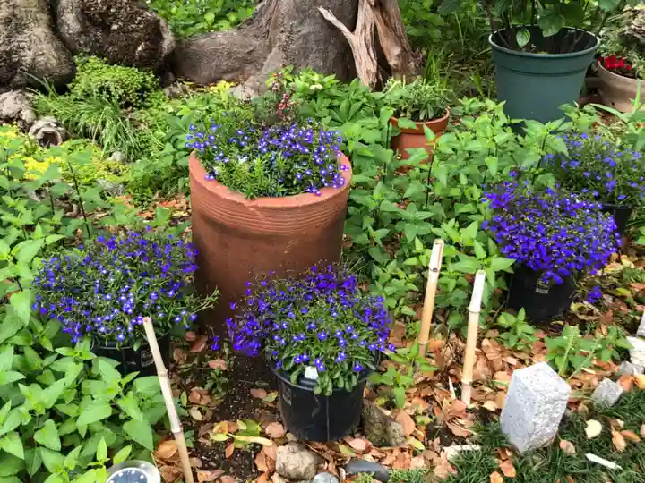 水堂須佐男神社の自然