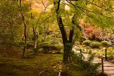 宝筐院(京都府)