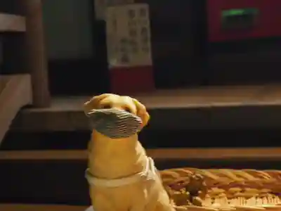 野津田薬師堂(福王寺)(東京都)