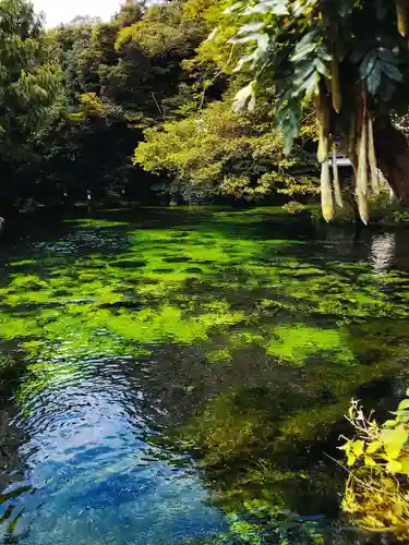 富士山本宮浅間大社の庭園