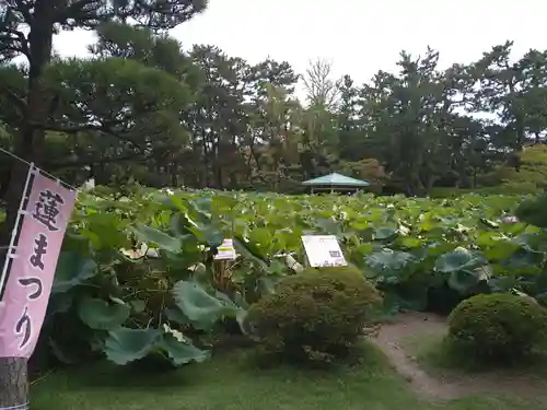 白山神社の庭園