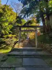 唐澤山神社の鳥居