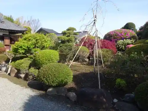 長徳寺の庭園