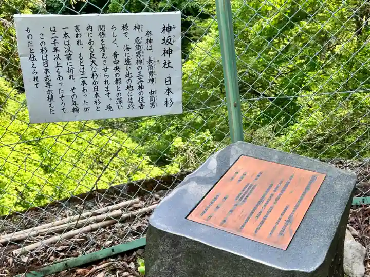 神坂神社(長野県)