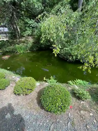 松尾寺(京都府)