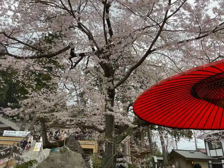 高麗神社の自然