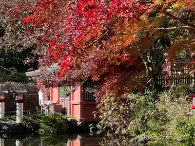 富士山本宮浅間大社(静岡県)