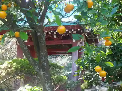 光則寺のその他建物