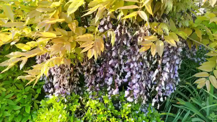 全龍寺(埼玉県)