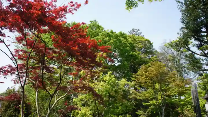 観音寺(千葉県)