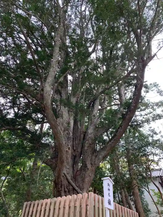 安房神社の自然