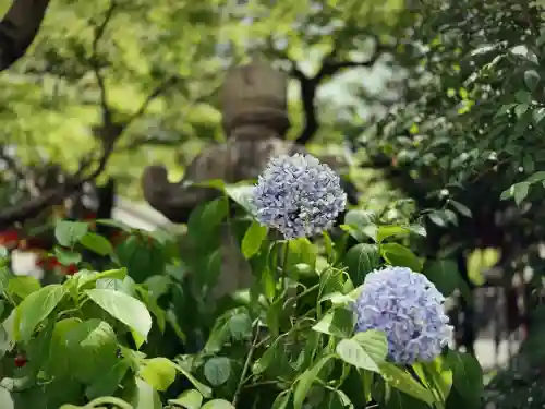 愛宕神社(東京都)