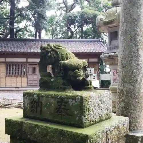 素鵞熊野神社の狛犬