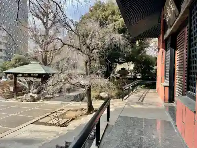 善性寺(東京都)