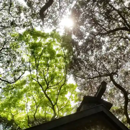 沼尾神社の自然