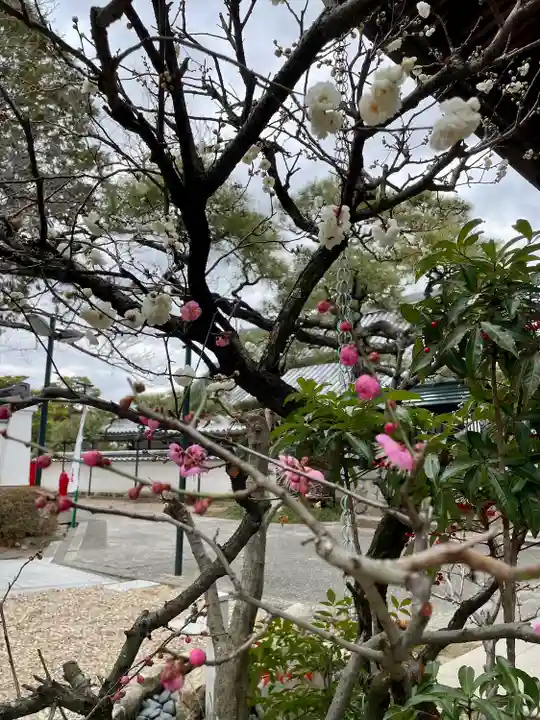 観音院(兵庫県)