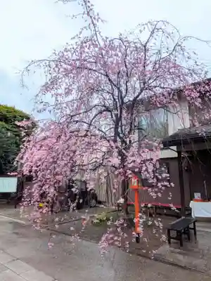 猿田彦神社(東京都)