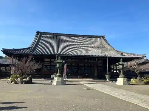 大通寺（長浜御坊）の本殿・本堂