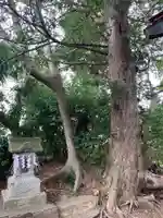 八坂神社(千葉県)