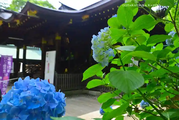 渋谷氷川神社(東京都)