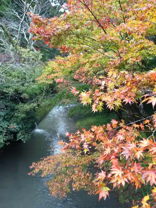 小國神社の自然