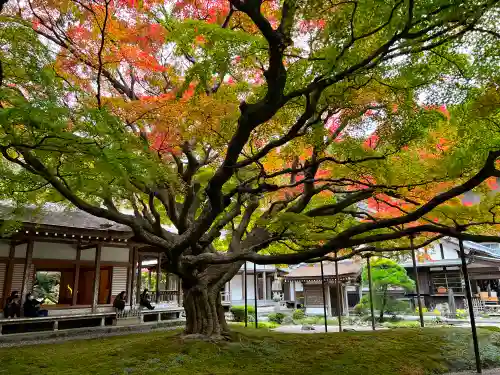 千如寺大悲王院(福岡県)