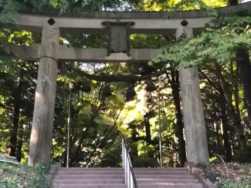 宝登山神社奥宮の鳥居