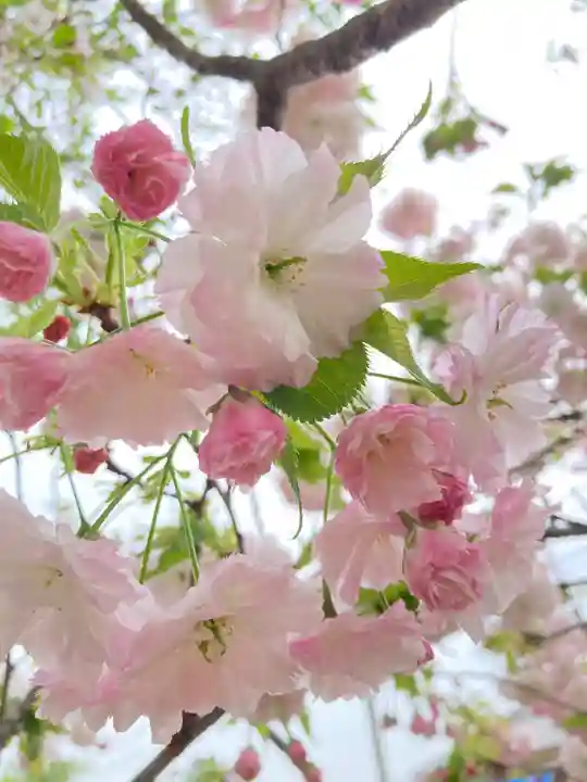 内外大神宮(茨城県)