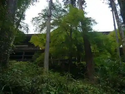 石山寺のその他建物