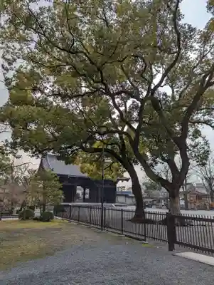東寺（教王護国寺）(京都府)